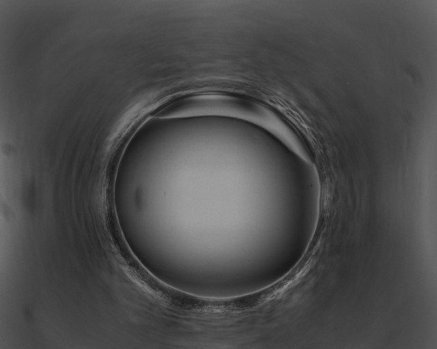 X0000090990101200708021531