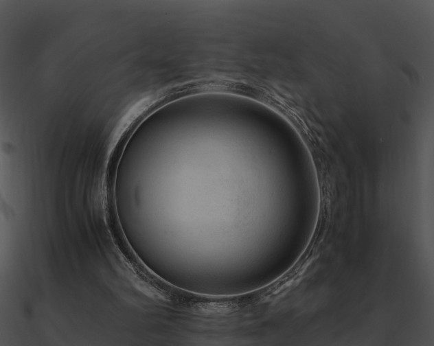 X0000090990102200708021531