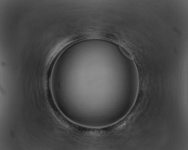 X0000090990103200708021531