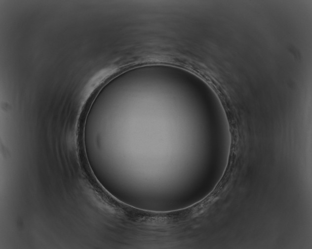X0000090990104200708021531