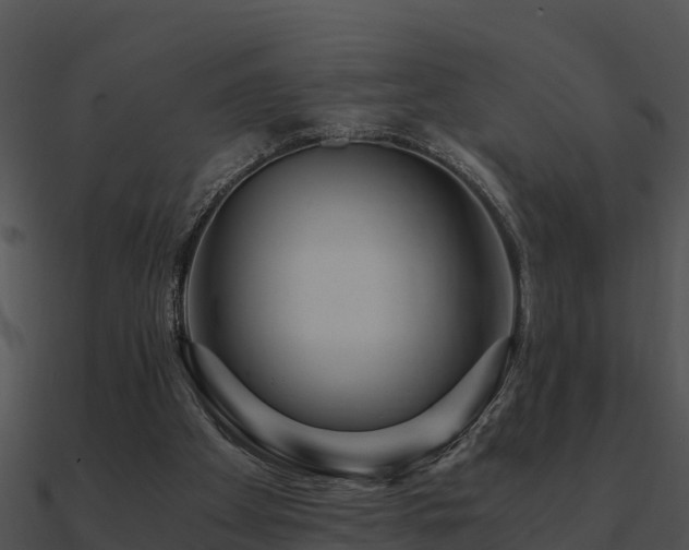 X0000090990105200708021531