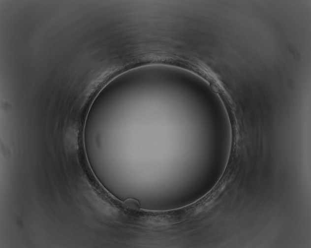 X0000090990106200708021531