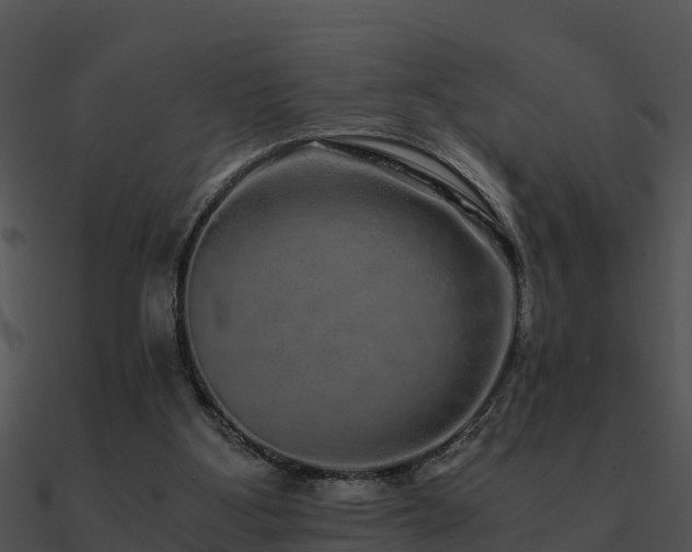 X0000090990107200708021531