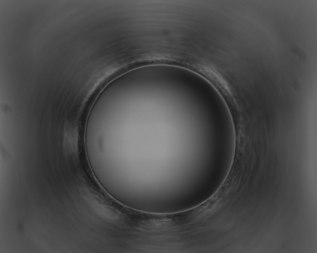 X0000090990108200708021531