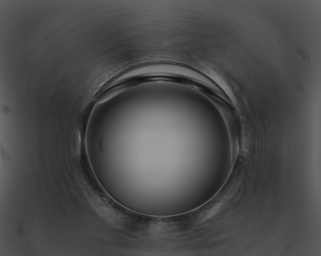 X0000090990109200708021531