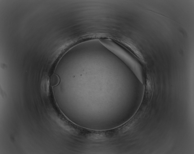 X0000090990110200708021531