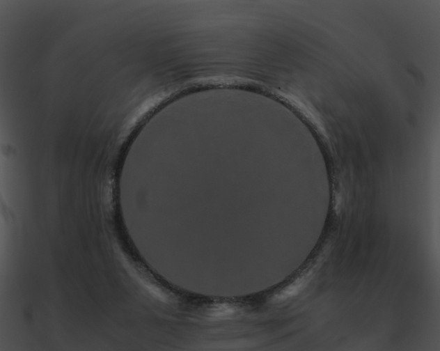X0000090990111200708021531