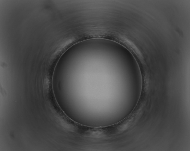 X0000090990113200708021531