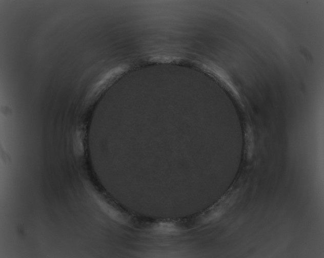 X0000090990114200708021531