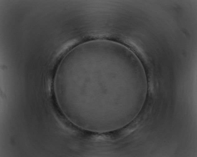 X0000090990115200708021531