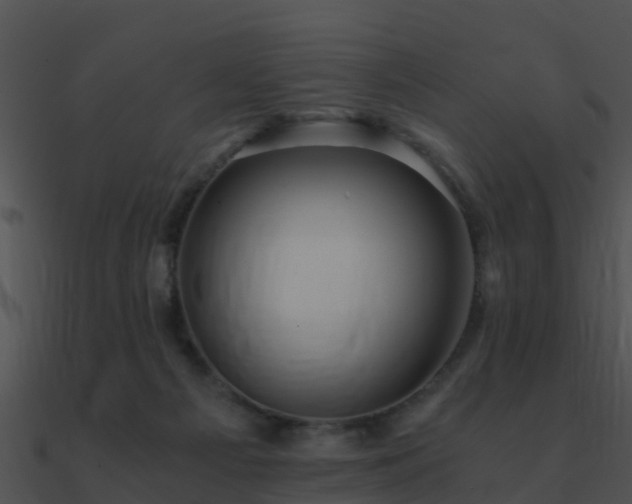 X0000090990121200708021531