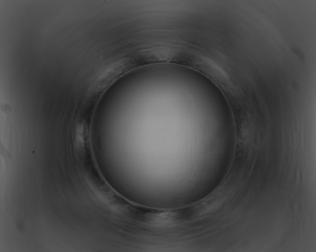 X0000090990122200708021531