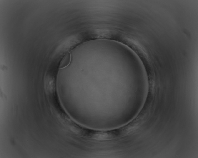 X0000090990123200708021531