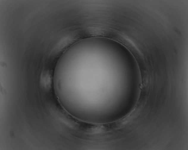 X0000090990124200708021531