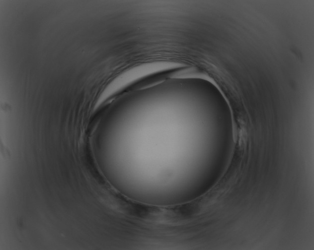 X0000090990125200708021531