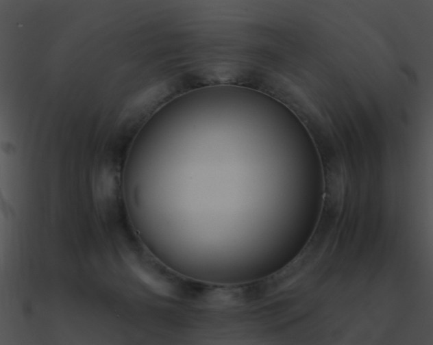X0000090990126200708021531