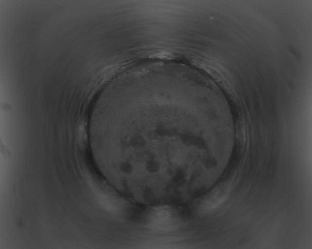 X0000090990127200708021531