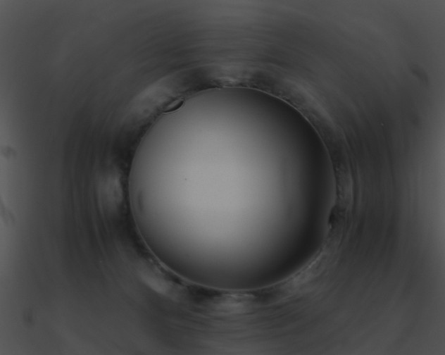 X0000090990128200708021531