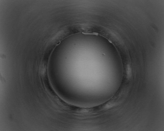 X0000090990129200708021531