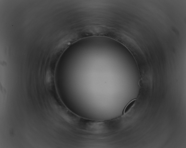 X0000090990132200708021531