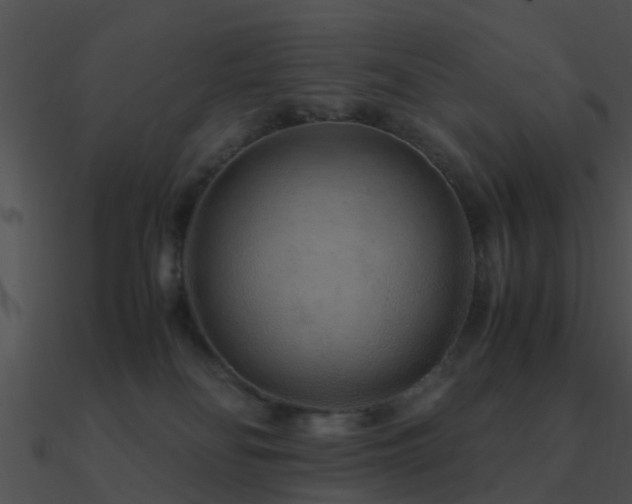 X0000090990134200708021531