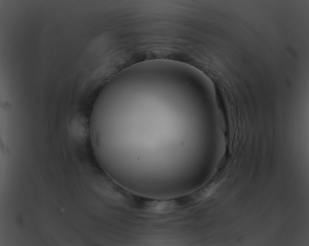 X0000090990135200708021531
