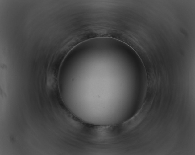 X0000090990136200708021531