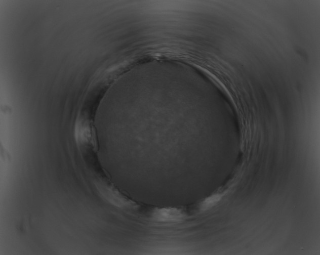 X0000090990137200708021531