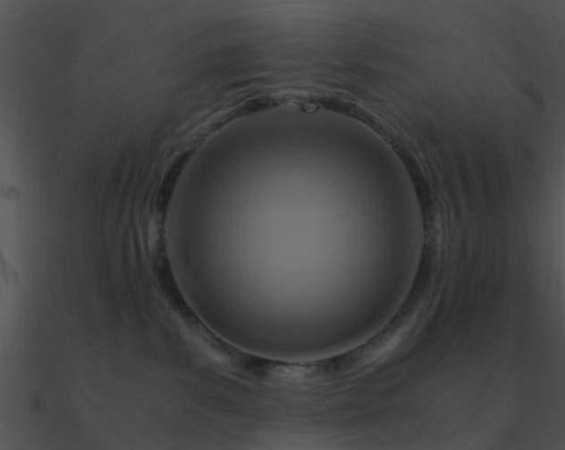 X0000090990139200708021531
