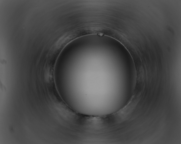 X0000090990140200708021531