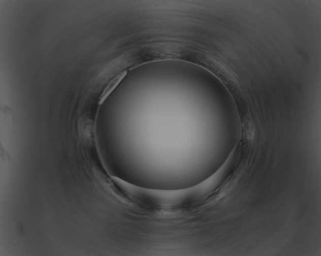 X0000090990141200708021531