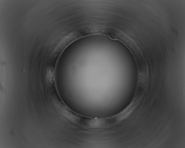 X0000090990142200708021531