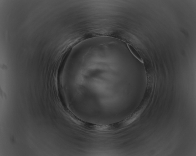 X0000090990143200708021531