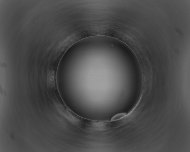 X0000090990144200708021531