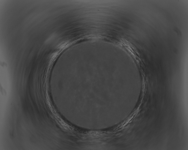 X0000090990145200708021530