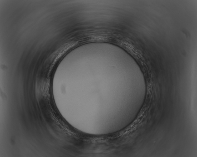 X0000090990146200708021530