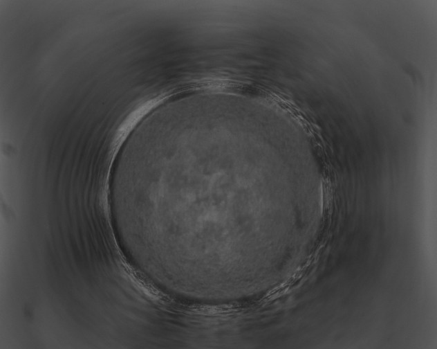 X0000090990147200708021530