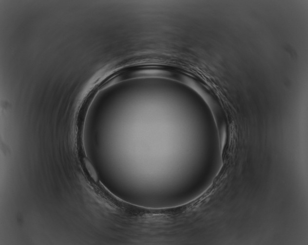 X0000090990150200708021530