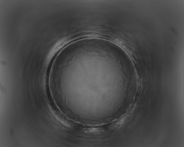 X0000090990151200708021530