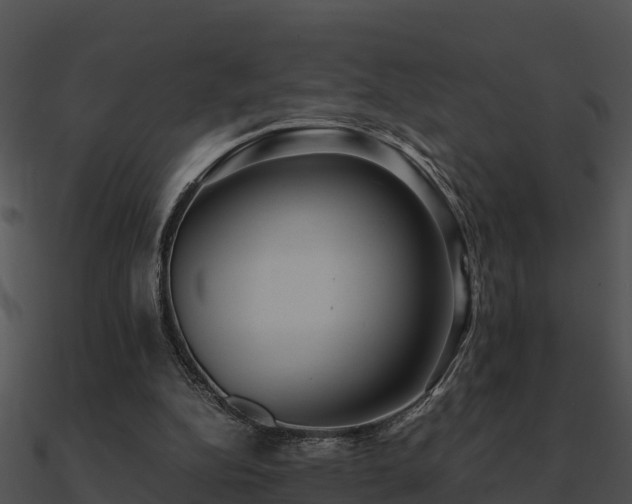 X0000090990152200708021530