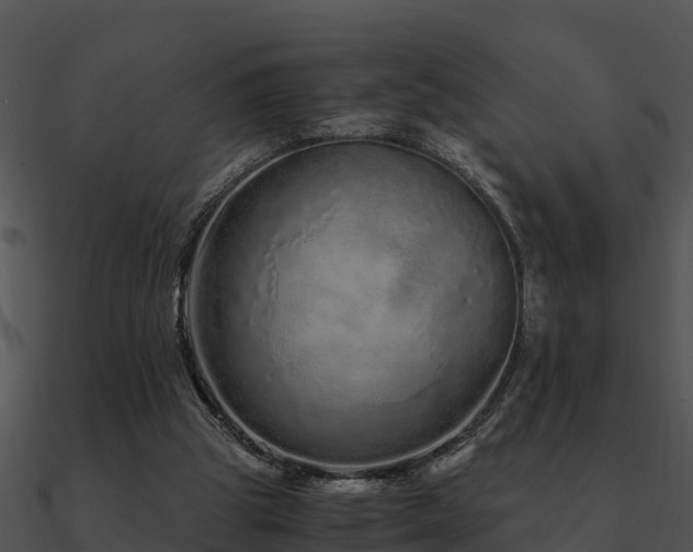 X0000090990153200708021530