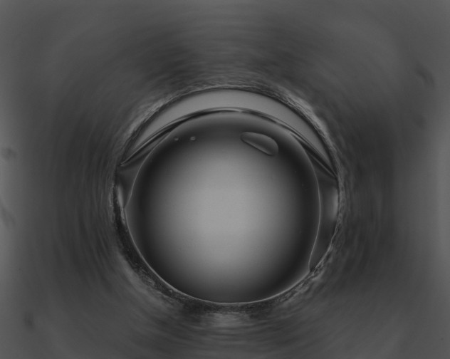 X0000090990154200708021530