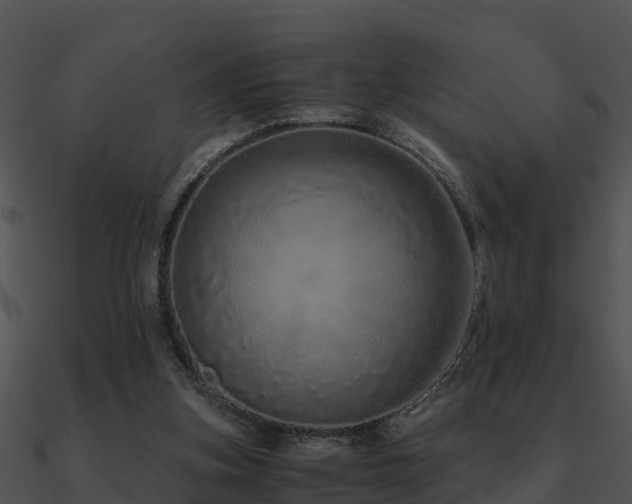X0000090990155200708021530