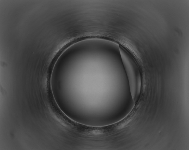 X0000090990156200708021530