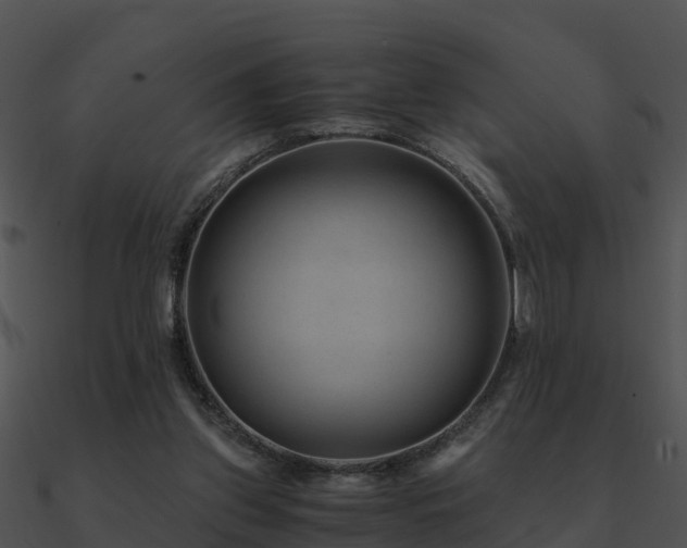X0000090990157200708021530