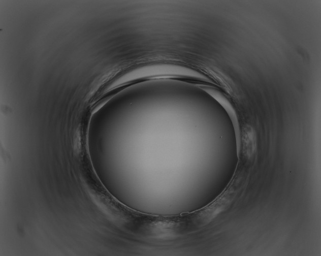 X0000090990158200708021530