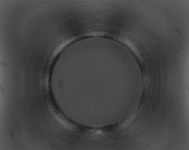 X0000090990159200708021530
