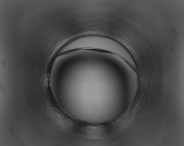 X0000090990160200708021530