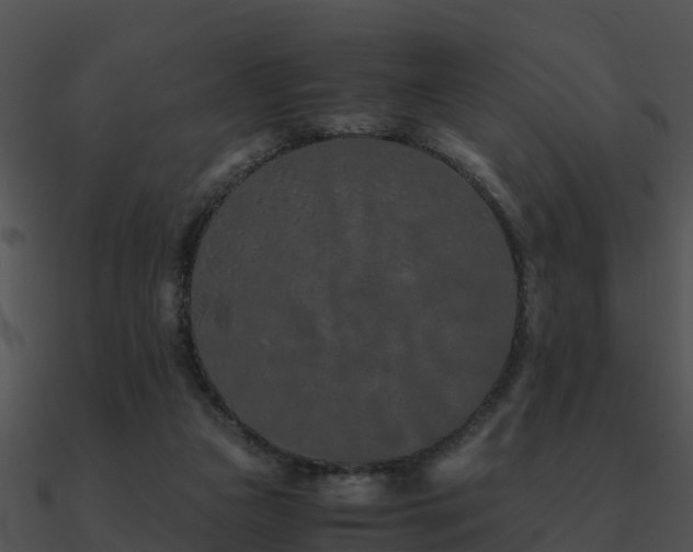 X0000090990161200708021530