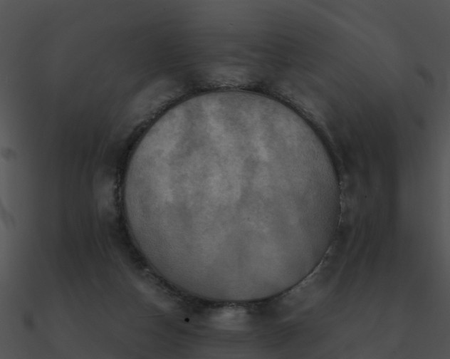 X0000090990162200708021530